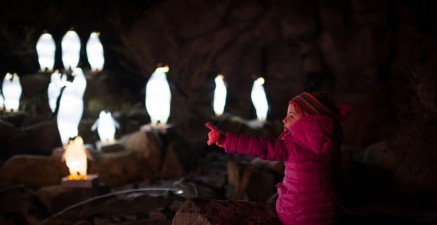 Een magisch lichtfeest in ZOO Antwerpen!