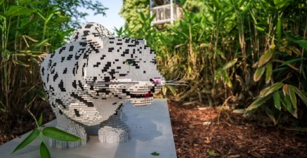 Planckendael opent bijzondere expo met 1 miljoen legoblokjes