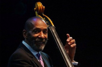 Zwijmel weg op het Chicago Blues Festival