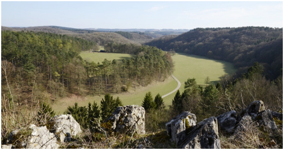 De Ardennen leent zich perfect voor een heerlijke, ontspannende vakantie in de natuur. Foto: Het Domein van de Grot van Han